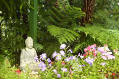 Buddha Statue in the Summer flowers