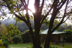 Picnic Tables in the early morning Sun